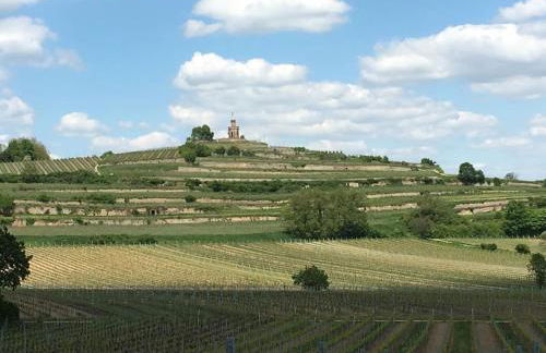 Ferienhaus im Wald an der Weinstrasse - Foto 27