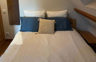 Gîte tourangeau dans la vallée de la Loire - Foto 9