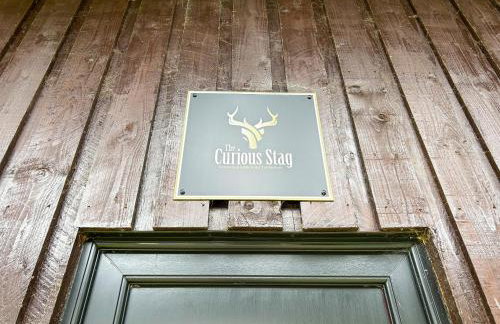 The Curious Stag - Foto 3