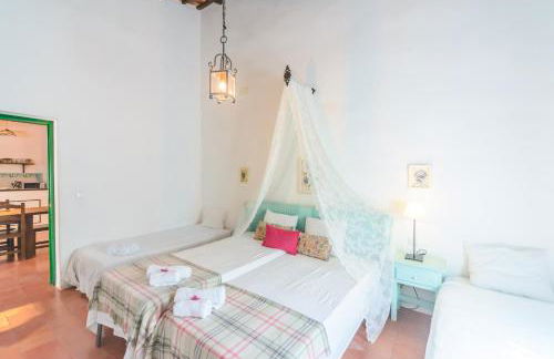 Huerta la Pimentada - Foto 20