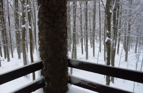 Casa nel bosco alle Macinaie - Foto 13