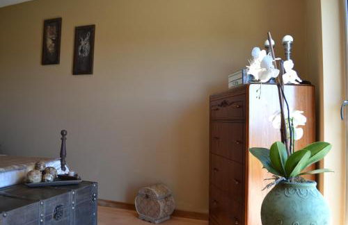 Cantinho da Bela Vista - Photo 40