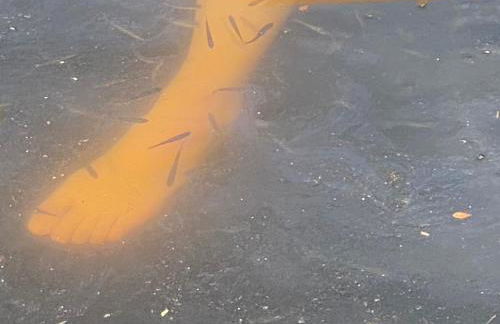 Ferien im Bomlitztal - Foto 61