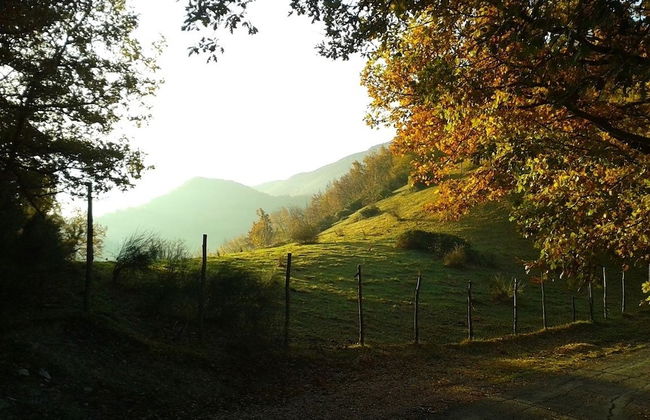 Agriturismo Orsaiola - Foto 46