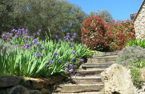 El Bosqueró de La Garrotxa - Foto 38