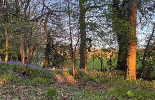 1 Bed in Billingshurst oc-90733 - Foto 15