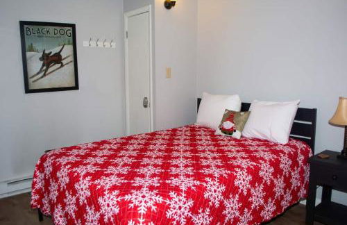 Winterplace Condos - Ski In Ski Out! E101 - Foto 7