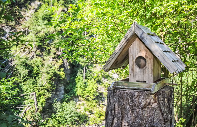 am Arlberg - Foto 18