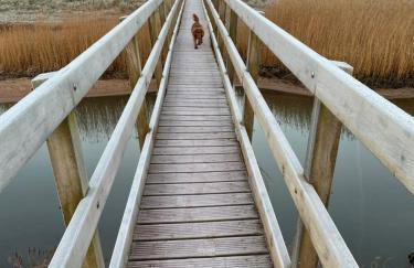 9 The Downs, Thurlestone, South Devon on the coastal footpath overlooking Burgh Island - Foto 16