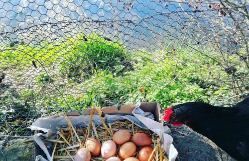 Cocottes & Colibri - Foto 42