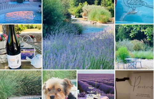 Le Nid de la Huppe - Foto 40