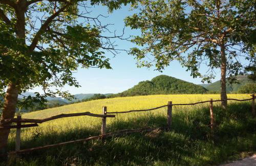 Agriturismo del Frontino - Ca' Marianna - Foto 33