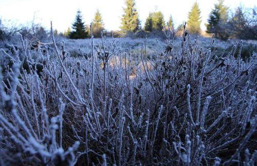 Altes Zollhaus - Foto 51