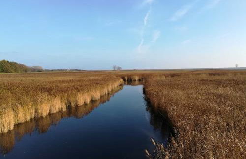 Ferienwohnung Fischerstieg - Foto 42