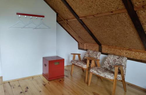 Widny Jaś zaprasza z psem nad jezioro na Kaszubach - Foto 21