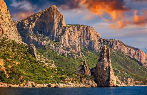 Orchid House - Foto 45