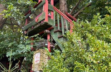 Domki Białogarda - Foto 63