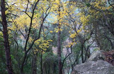 Apartament Dertosa - Foto 48