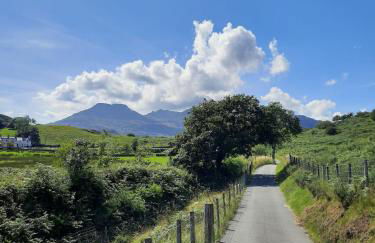 Cosy Quarrymans Cottage in Snowdonia - Foto 16