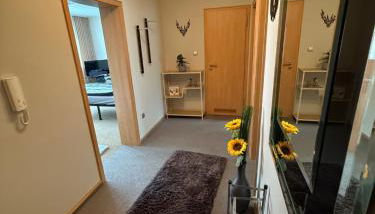 CAL Apartments - Foto 3