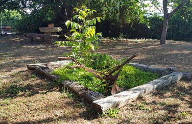 ApartamentosTREVEJO La Noguera villamiel - Foto 45