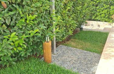 Endless Summer - Photo 12