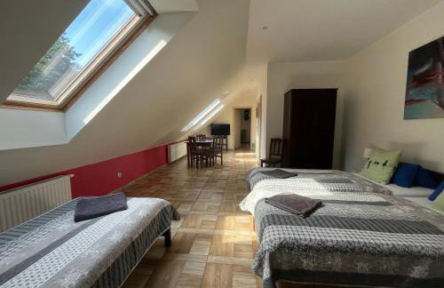 Koci Grzbiet Agroturystyka - Foto 43