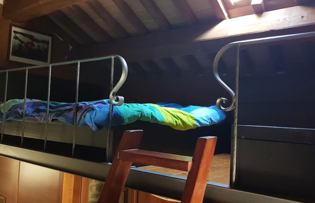 Alla Battuta - Foto 7