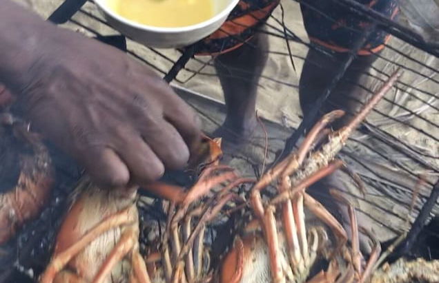 Castara Inn - Photo 41