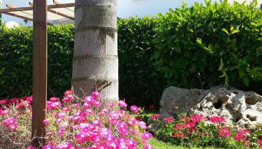 Agriturismo Fratelli Mizzon - Foto 5, Garden