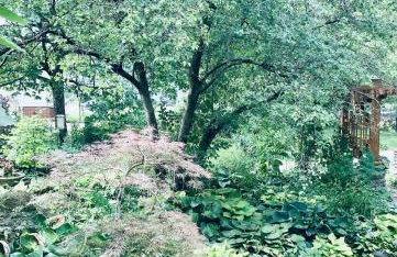 Earthy Hobbit Jungle with Privacy & Serenity - Foto 21