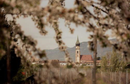 Gutshof Ebner - Foto 6