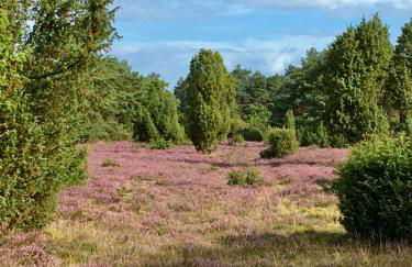 Atelier am Markt - Photo 27