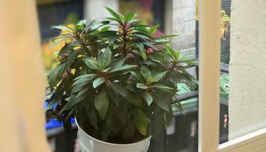 FIKA FLAT Casco Viejo PARKING 20 euro x día - Foto 4