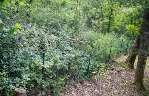 Villa in Provence with Pool and Garden - Foto 36