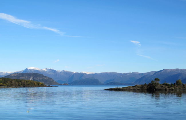 Greenhouse - Photo 32