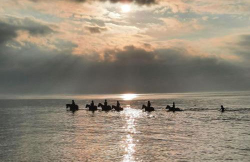 Appartements Am Reiterhof Strandträumer - Foto 32