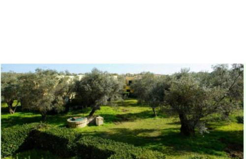 Tra Ulivi E Mare - Foto 3