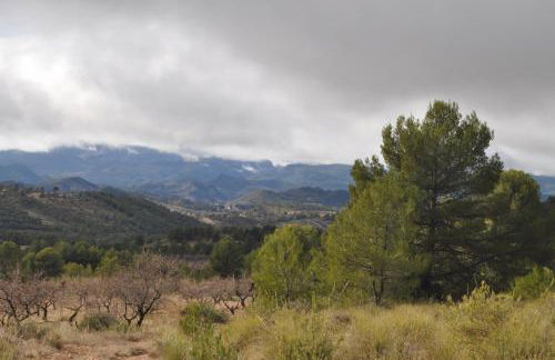 El Palomar de Peñarrubia - Foto 20