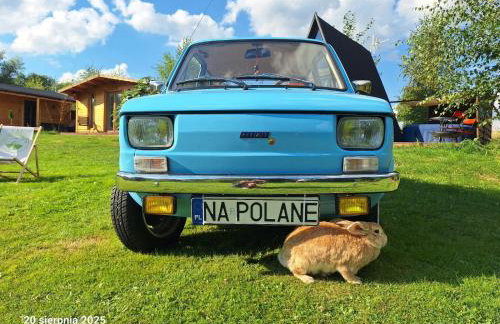 Agroturystyka Polana Giebułtów obok Świeradowa i zamku Czocha, domki przyjazne rodzinom z dziećmi - Photo 4