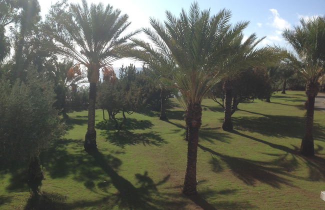 Ktima Grammeno - Foto 25