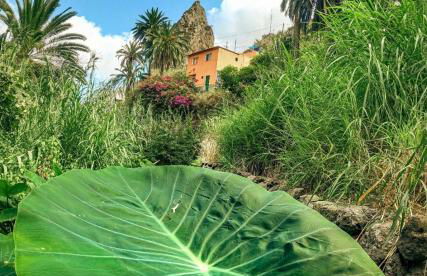 Casa Buganvilla - Foto 52