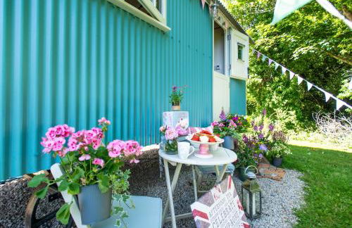 Gwithian Shepherds Hut - Foto 28