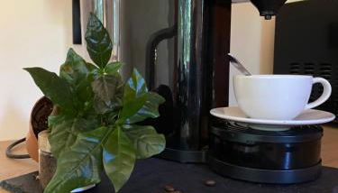 Les pieds dans l eau - Foto 5