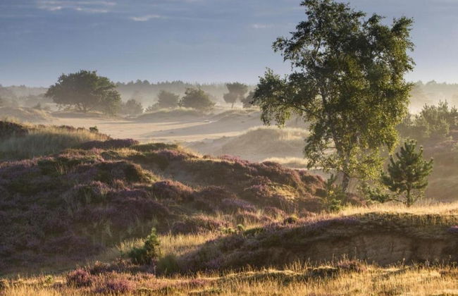 Tranquil Stay in Drenthe - Photo 38