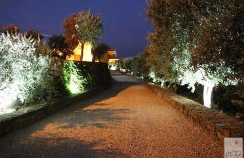 Quinta do Pombal Douro - Foto 16