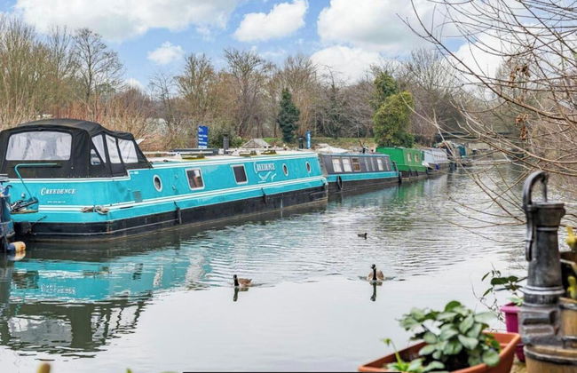 Hertford - Sleeps 2 - 92 Walking Score - Garden - Foto 14