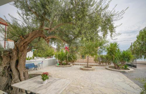 Oasis Studios AG PANTES - Photo 61