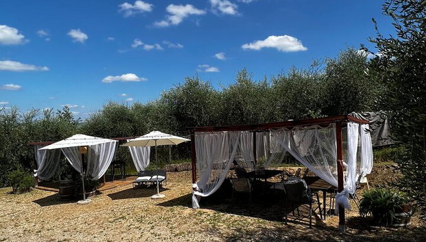 Winery Tour & Tasting in Pisa Countryside - Photo 4