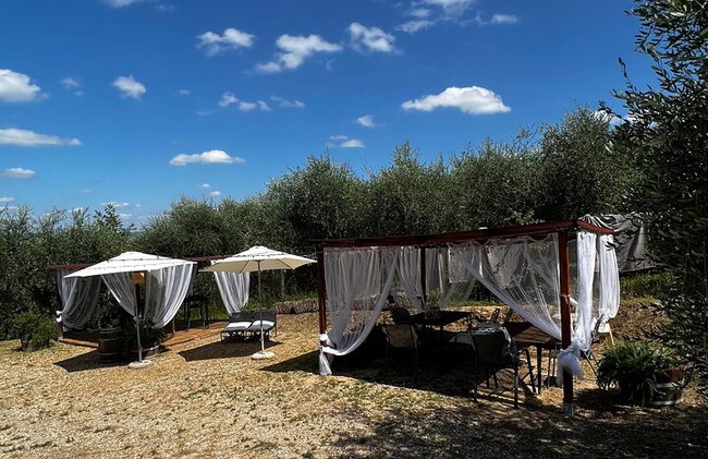 Visita a bodega y degustación en el campo de Pisa - Foto 4